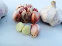 Fresh Garlic 