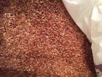 Flax seeds FOB Russia