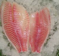 Frozen Red Tilapia Fish Fillet