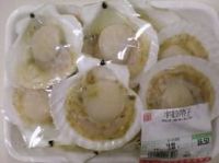 Frozen Scallop Meat/Frozen Razor Clam