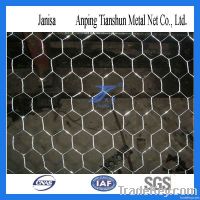 hexagonal wire mesh