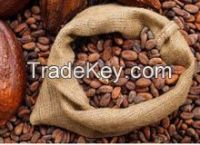 Dried cocoa bean
