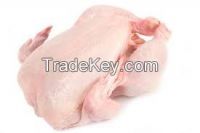 GRADE A HALAL FROZEN WHOLE CHICKEN and chicken parts