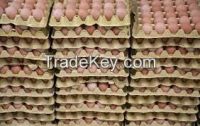 Fresh Poultry Farm Table Eggs Available