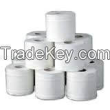 Embossed custom design printed toilet paper