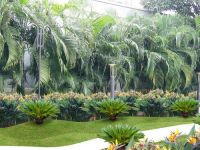 Landscape Consultants in Noida,Greater Noida