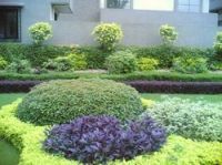 Horticulture Consultants in Noida,Greater Noida