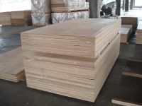 Plywood for Construction