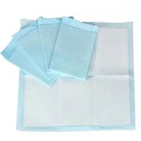 Men&#039;s Disposable Urinal Filter Pad Custom Logo Available in Various Colours Toilet Tissue Type