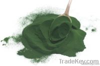 Spirulina Powder