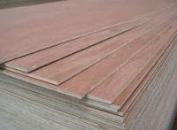 Commercial Plywood