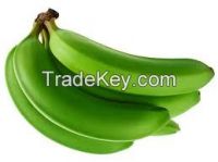 Fresh cavendish Banana