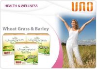 1st Health Wheat Grass & Barley 