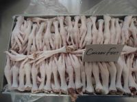 Grade A Halal Frozen Chicken Feet, chicken gizzards, chicken liver, chicken wing middle joint, chicken head, chicken back, Chicken Front, Chicken Shawama