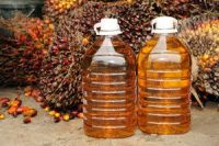 And Vegetable oil palm oil of quality