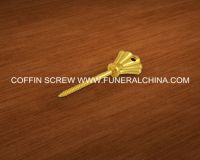 coffin screw PS001