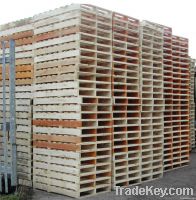 Chemically Treated Wooden Pallets