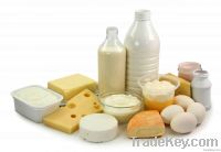 Dairy Products 