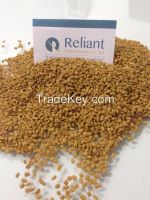 Fenugreek Seeds