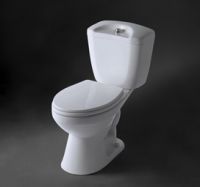 washdown siphonic close-coupled toilet