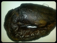 Smoked Cat Fish