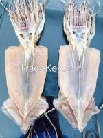 export dried squid seafood for sale