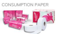 Consumption paper