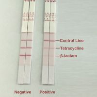Beta-lactam and Tetracycline Combo Test Kit