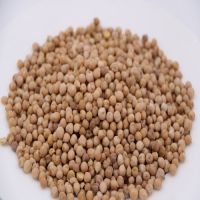 https://www.tradekey.com/product_view/Chick-Pea-Dry-Pea-Pea-Canned-8293963.html