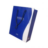 Customized Kraft Paper Gift Bag