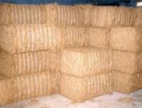 COCO FIBRE  COIR FIBER