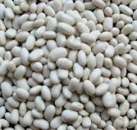 white kidney beans