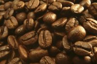 Green Arabica and Robusta Coffee Beans
