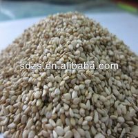 pure white sesame seed