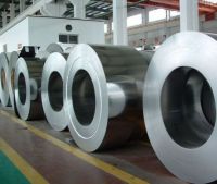 PIPES,TUBES,FLANGES,SHEETS,COILS.