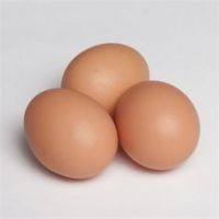 Eggs and egg products