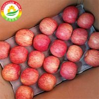 Fresh Fruits, Apple Fresh Fruit for Export Red Delicious Apple