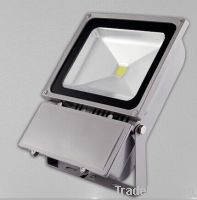 LED FLOOD LIGHT