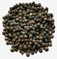 Black Pepper