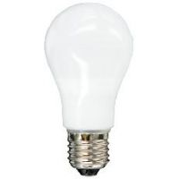 A19 320 Light Bulb