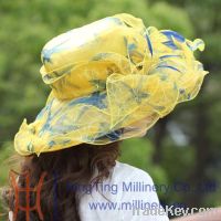 https://www.tradekey.com/product_view/2014-Hot-Sales-Organza-Cap-And-Hat-7022594.html