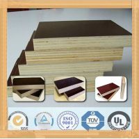 Plywood factory direct China