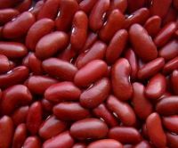 Grade 1 Kidney Beans 