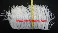 Partially Stripped Ostrich Feather Fringe Sewn On Cord From China