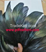 Rooster/coque/cock Tail Feather From China