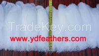 White Goose Nagoires Feather For Wholesale