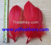 White Goose Nagoires Feather For Wholesale
