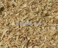 Wood Chips