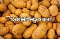 African Fresh Export Quality Potatoes