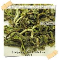 Darjeeling first flush tea 2014, Rohini